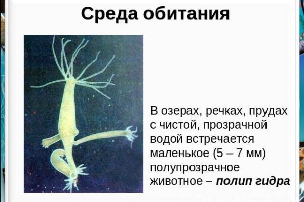Kraken сайт kraken torion