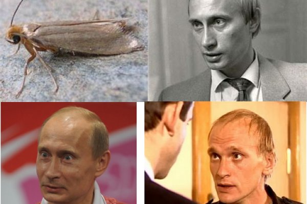 Kraken зеркала gigageek ru